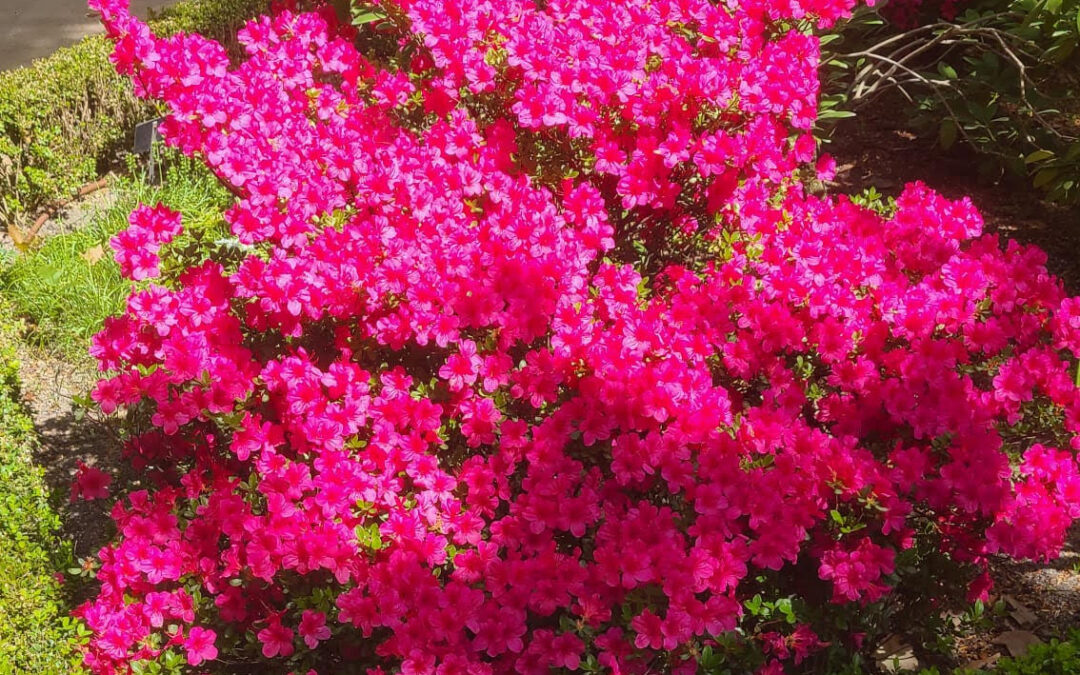 Encuentro de Primavera 2026