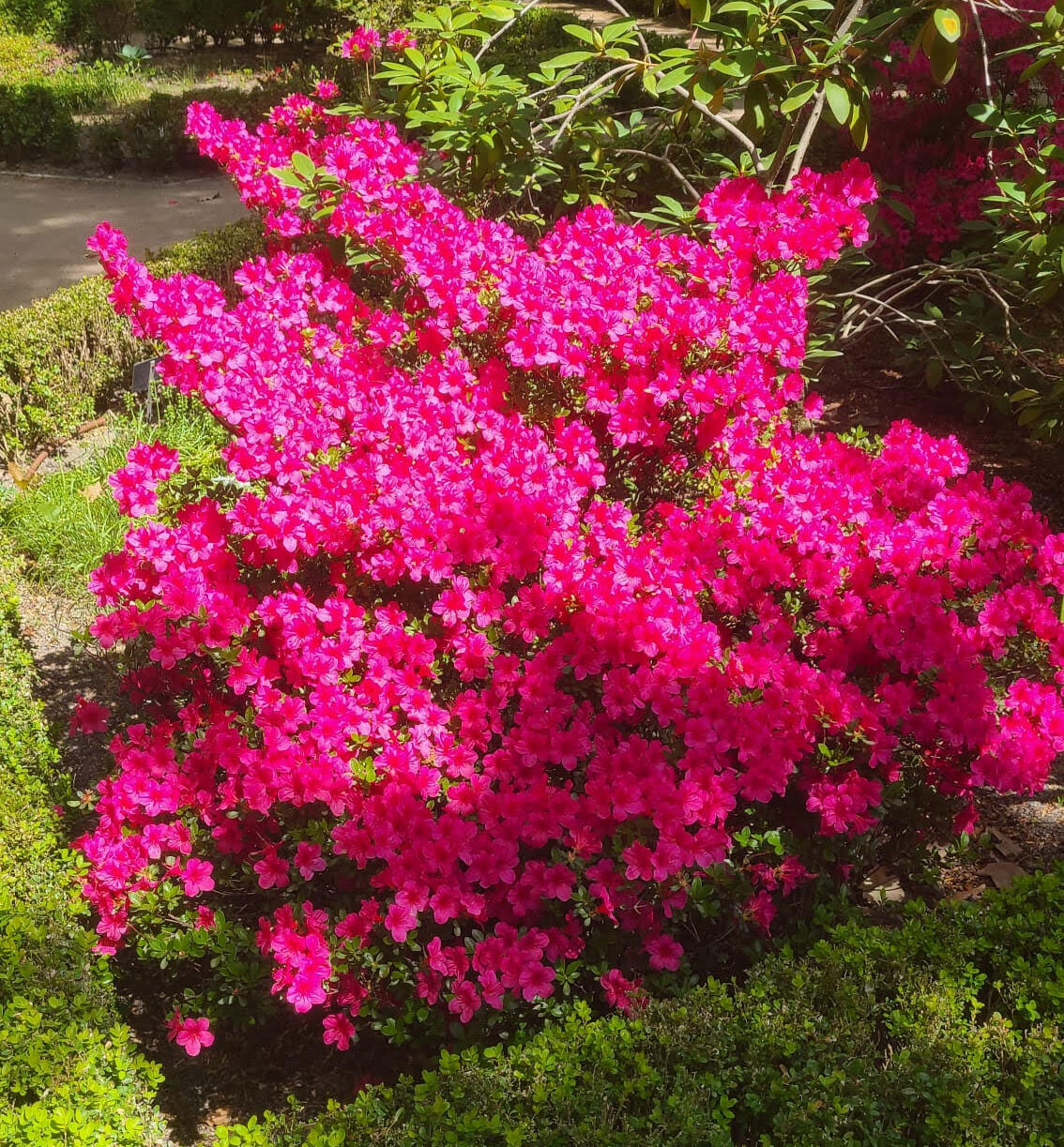 Encuentro de Primavera 2026